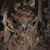 nala-traildog avatar