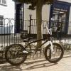 cambmx avatar