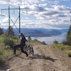 BikingwithQ avatar