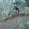 Davybones avatar