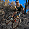pjmoreland avatar