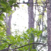 Pinkbike profile picture for @internet