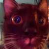 4p0llo avatar