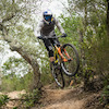 ndavidson2 avatar