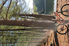 Pinkbike profile picture for @Colon