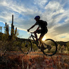 iroas414 avatar