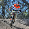 dzl99 avatar
