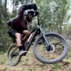 buildit-shredit