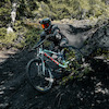 dalemont avatar