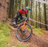 commencal-wigg avatar