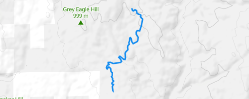 Darling Ridge to Mace Mill to Rock Creek Multi Trail - Georgetown