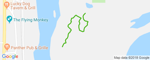 go-bulls-mountain-biking-trail-plymouth-nh