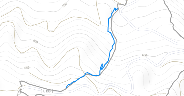 MTB Blue Upper Mountain Biking Trail - Singen