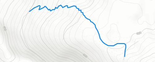 Eastside Mountain Biking Trail - Maydena | Trailforks