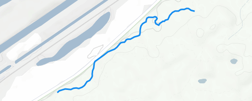 Turf (orange) Mountain Biking Trail - Willow Springs