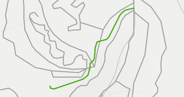 Flow Park Walk-up Trail Mountain Biking Trail - Issaquah