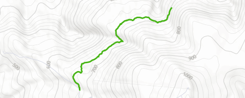 Midline Mountain Biking Trail - Maydena | Trailforks