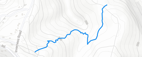 True Grit Mountain Biking Trail - Mount Dandenong