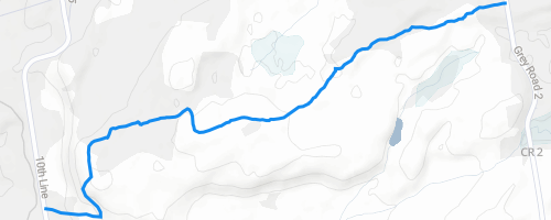 Bruce Trail Grey 2 - Metcalfe Multi Trail - The Blue Mountains