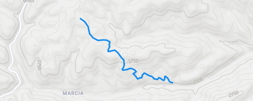 Benson Ridge / Bluff Springs Trail Multi Trail - Cloudcroft