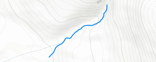 Morfee Falls Trail Multi Trail - Mackenzie, BC