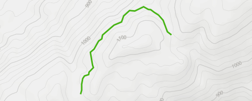 Arbutus Loop Trail Mountain Biking Trail - Bland, VA