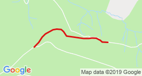 penhydd trail