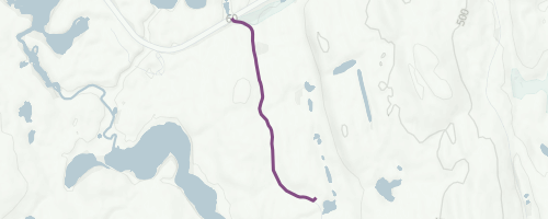 Centennial Ridges Access Road Multi Trail Whitney