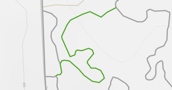 Briar Rabbit Mountain Biking Trail - Bellingham, WA