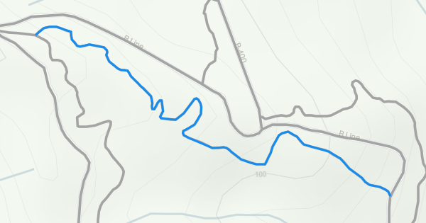 Slaveiu Ridge Remote Path B-Line (Sylvia Ridge Trail) Mountain Biking Trail - Montesano