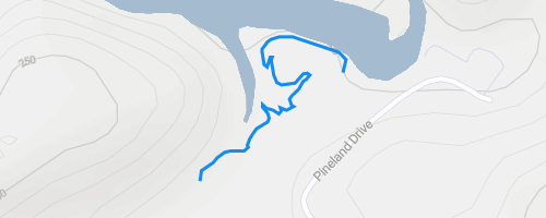 Bethel Mountain Biking Trail - Hot Springs, Arkansas