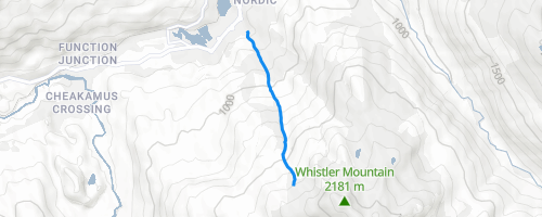 Whistler Ski Runs: Peak to Creek