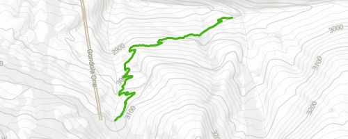 Sidekick Mountain Biking Trail - Vail, Colorado