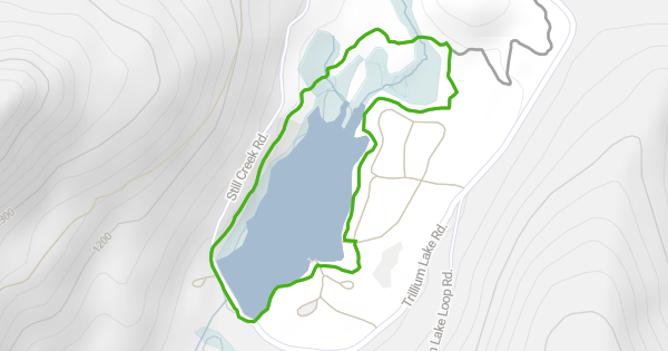 Trillium Lake Loop Multi Trail Government Camp OR