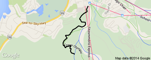 A Line Lower Mountain Bike Trail - 2493 1 500x200 