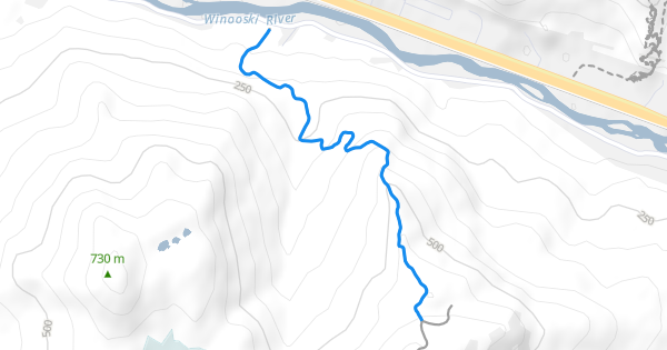 Long Trail - Bamforth Ridge Hiking Trail - Waterbury