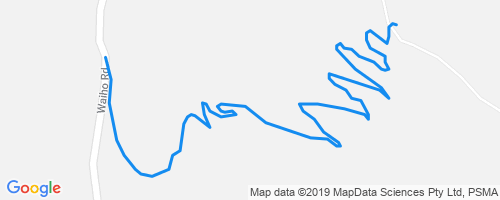 Sneaky Hand Job Mountain Biking Trail - Auckland