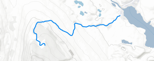 Wawayanda State Park Trail Map Bald Hills Multi Trail - Jasper, Alberta | Trailforks