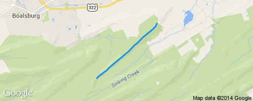 Tussey Mountain Trail Mountain Biking Trail - State College