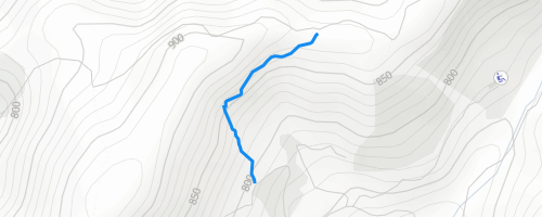 Plattensteig Upper Hiking Trail - | Trailforks