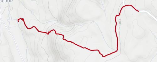 Risco Bike Park - Trilha Completa Mountain Biking Trail