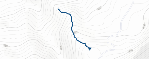 Rawdog Mountain Biking Trail - Whare Flat, Dunedin