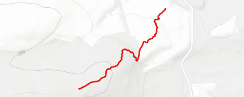 Devon's Mile Mountain Biking Trail - Banchory