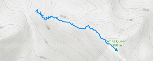 Hummingbird Pass -White Queen Hiking Trail - Nelson