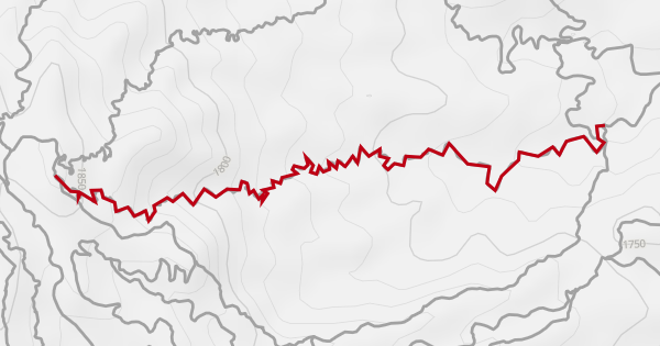 Down The Rabbit Hole Mountain Biking Trail - Rio Rancho