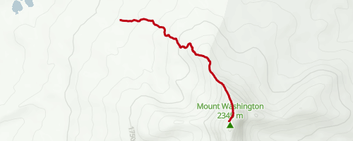 Mount Washington Hiking Trail - Sisters, Oregon