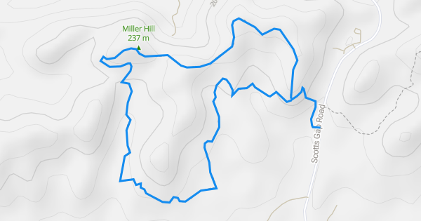 Scott's Gap Trail Multi Trail - Louisville, Kentucky