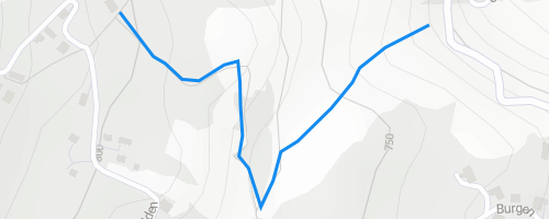 Fischbach Trail Multi Trail - | Trailforks