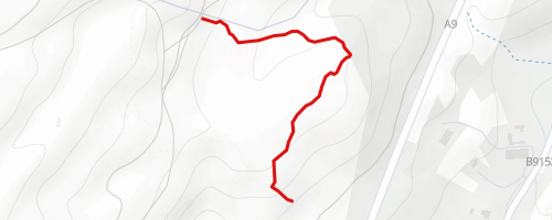 Bracken Bashing Mountain Biking Trail - Aviemore