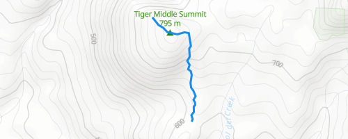 trailforks tiger mountain